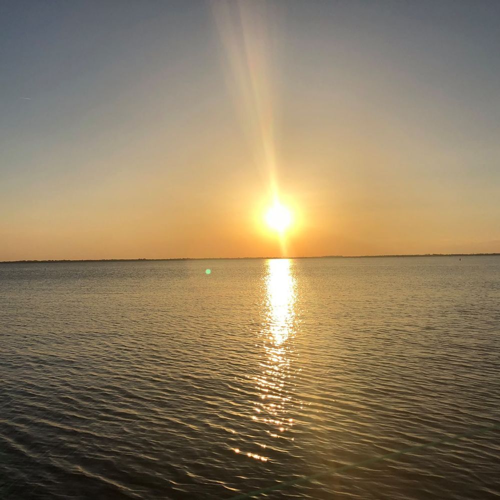 Meet your Posher, Lilly